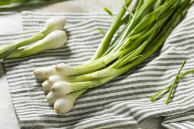 Aşçı ile ham yeşil organik taze ampul soğan hazır