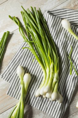 Aşçı ile ham yeşil organik taze ampul soğan hazır