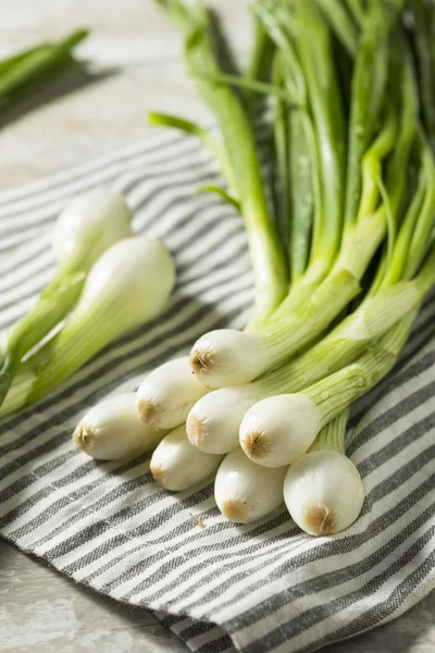 Raw Green Organic Spring Bulb Onions Ready Cook — Stock Photo, Image