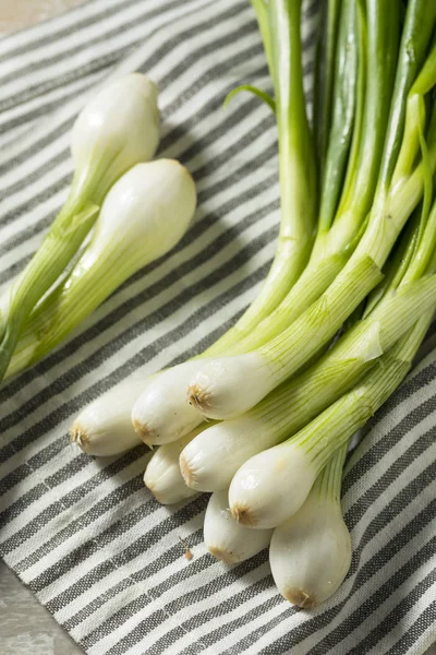 Raw Green Organic Spring Bulb Onions Ready Cook — Stock Photo, Image