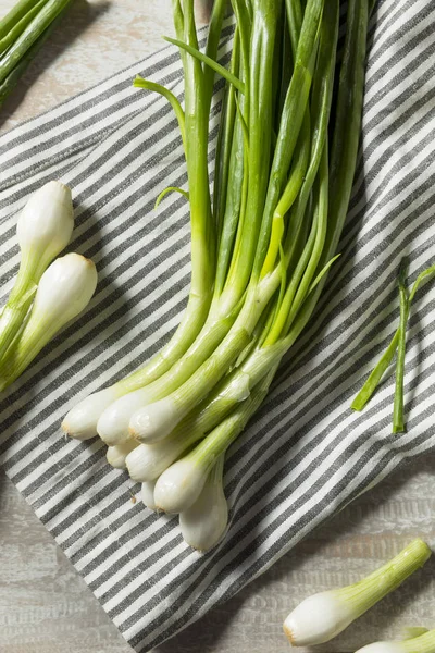 Raw Green Organic Spring Bulb Onions Ready to Cook With