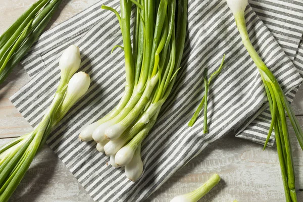 Cebolas Orgânicas Verdes Cruas Lâmpada Mola Prontas Para Cozinhar Com — Fotografia de Stock