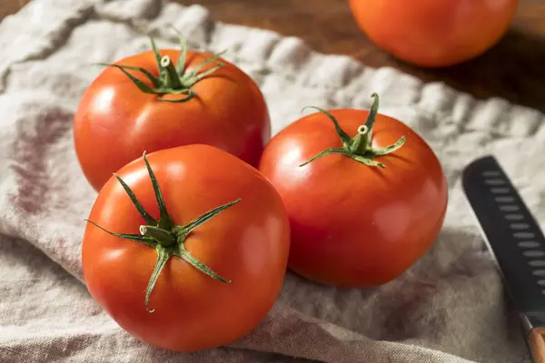 生有機トマト料理ができて — ストック写真
