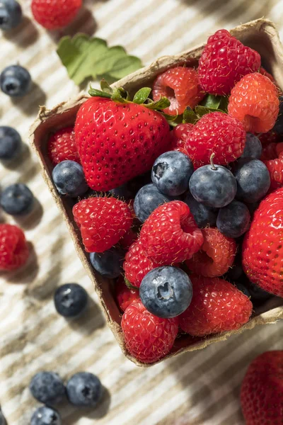 Bayas Mixtas Rojas Crudas Ecológicas Con Frambuesas Arándanos Fresas — Foto de Stock