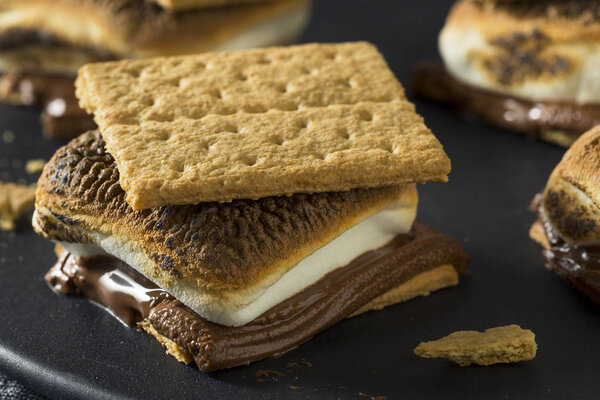 Homemade Chocolate Smores with Marshmallows and Cookies