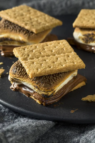 Homemade Chocolate Smores Marshmallows Cookies — Stock Photo, Image
