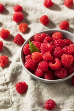 Çiğ kırmızı organik ahududu yemeye hazır