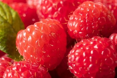 Çiğ kırmızı organik ahududu yemeye hazır