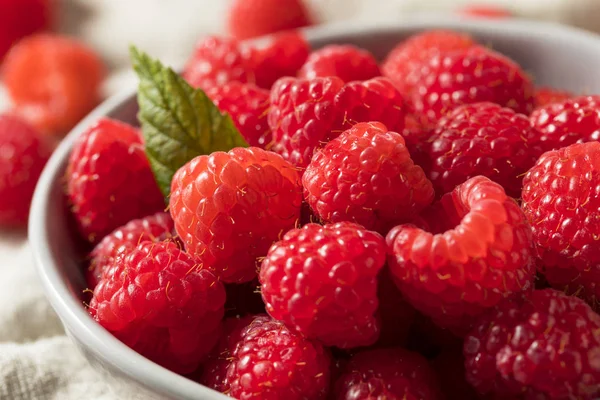 Frambuesas Ecológicas Rojas Crudas Listas Para Comer —  Fotos de Stock