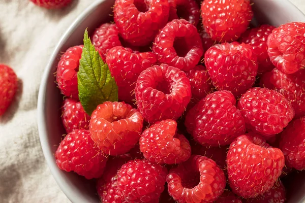 Raw Red Organic Raspberries Ready Eat — Stock Photo, Image