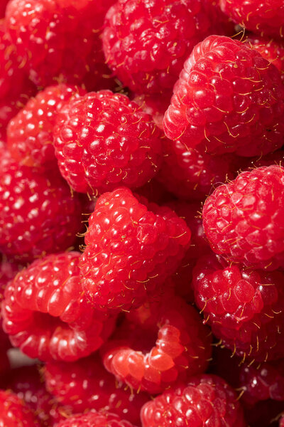 Raw Red Organic Raspberries Ready to Eat