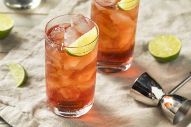 Ev yapımı tatlı Cape Codder kokteyl kireç ve votka ile