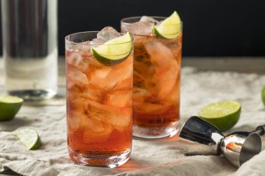 Ev yapımı tatlı Cape Codder kokteyl kireç ve votka ile