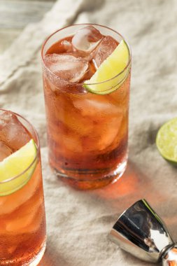 Ev yapımı tatlı Cape Codder kokteyl kireç ve votka ile