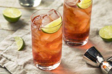 Ev yapımı tatlı Cape Codder kokteyl kireç ve votka ile