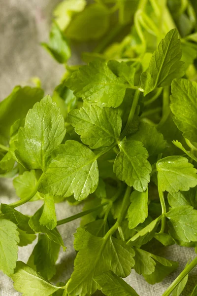 Syrové Zelené Organické Tužebník Obecný Herb Připravené Jídlu — Stock fotografie