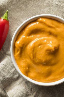 Ev yapımı baharatlı Mayo Aioli hazır kullanım için