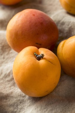 Ham olgun organik kayısı yemeye hazır