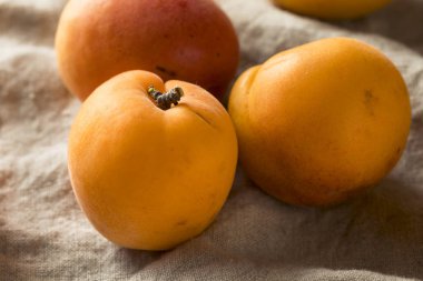 Ham olgun organik kayısı yemeye hazır