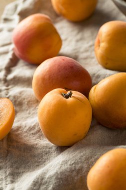 Ham olgun organik kayısı yemeye hazır