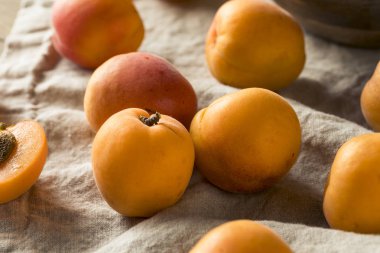 Ham olgun organik kayısı yemeye hazır