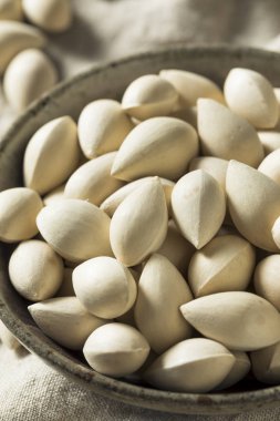 Bir kase içinde çiğ kurutulmuş organik Ginkgo Fındık