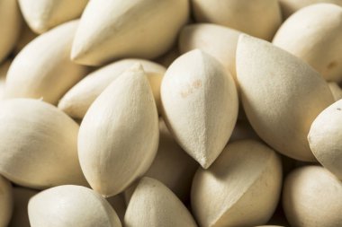 Bir kase içinde çiğ kurutulmuş organik Ginkgo Fındık