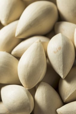 Bir kase içinde çiğ kurutulmuş organik Ginkgo Fındık