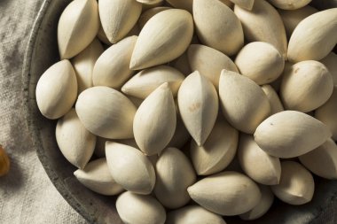 Bir kase içinde çiğ kurutulmuş organik Ginkgo Fındık