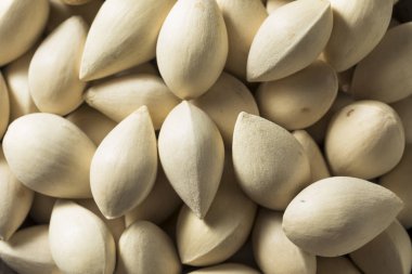 Bir kase içinde çiğ kurutulmuş organik Ginkgo Fındık