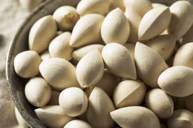 Bir kase içinde çiğ kurutulmuş organik Ginkgo Fındık