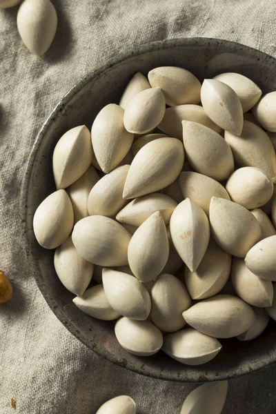 Ruwe Gedroogde Organische Ginkgo Noten Een Kom — Stockfoto