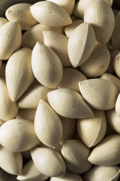 Bir kase içinde çiğ kurutulmuş organik Ginkgo Fındık