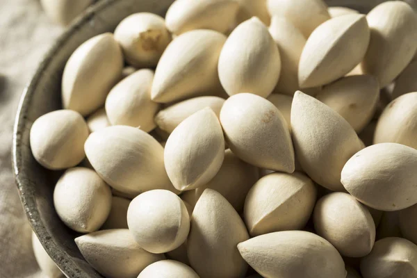 Bir kase içinde çiğ kurutulmuş organik Ginkgo Fındık