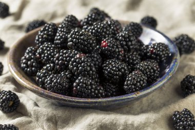 Bir kase çiğ siyah organik böğürtlen