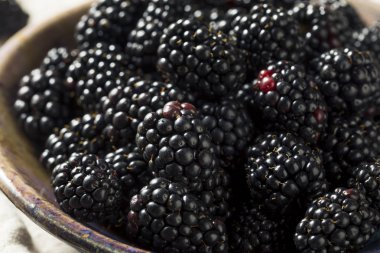 Bir kase çiğ siyah organik böğürtlen