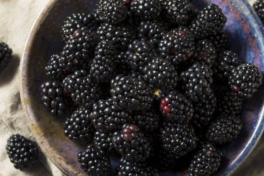 Bir kase çiğ siyah organik böğürtlen