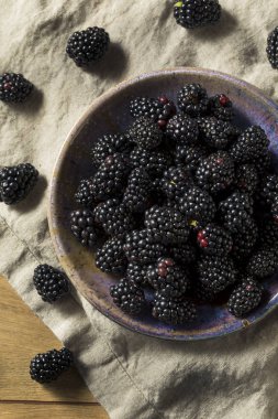 Bir kase çiğ siyah organik böğürtlen