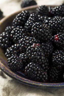 Bir kase çiğ siyah organik böğürtlen