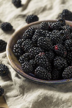 Bir kase çiğ siyah organik böğürtlen