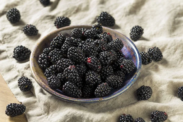 Bir kase çiğ siyah organik böğürtlen