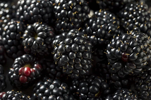 Bir kase çiğ siyah organik böğürtlen