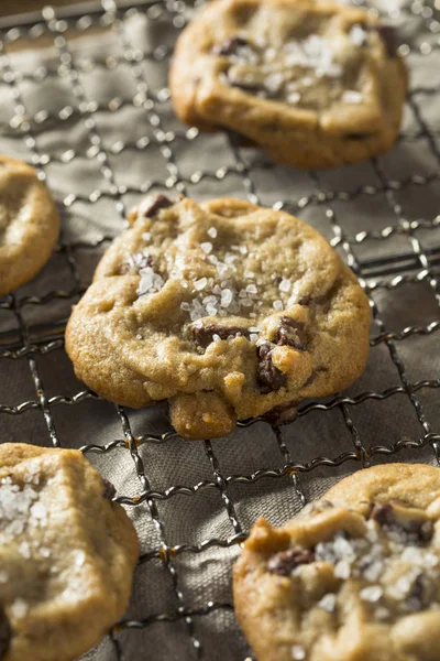 Hausgemachte Meersalz Schokolade Chip Cookies Bereit Essen — Stockfoto