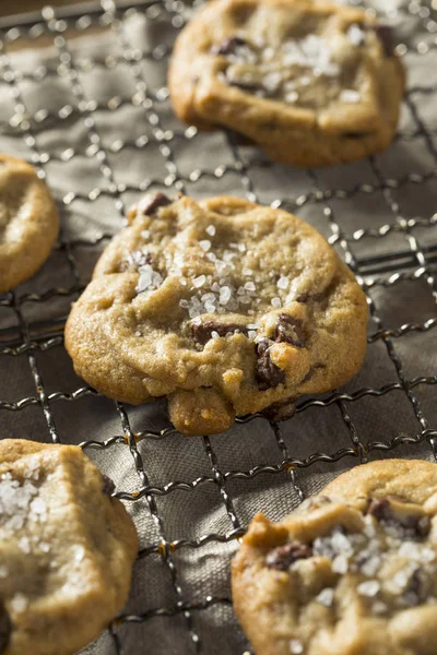 Hemmagjord Sea Salt Chocolate Chip Cookies Redo Att Äta — Stockfoto