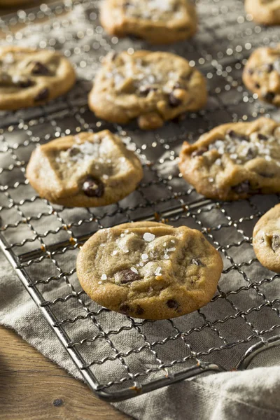 Ev yapımı deniz tuzlu çikolata parçalı kurabiye yemeye hazır