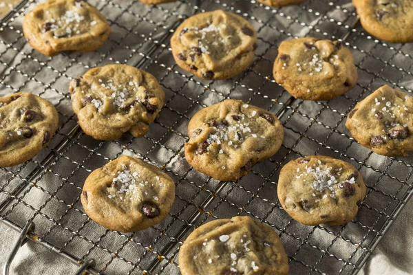Hausgemachte Meersalz Schokolade Chip Cookies Bereit Essen — Stockfoto