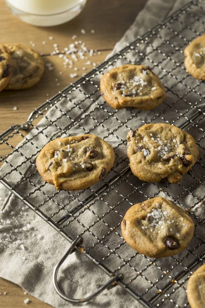Ev yapımı deniz tuzlu çikolata parçalı kurabiye yemeye hazır