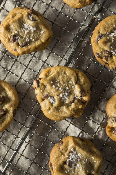 Hemmagjord Sea Salt Chocolate Chip Cookies Redo Att Äta — Stockfoto