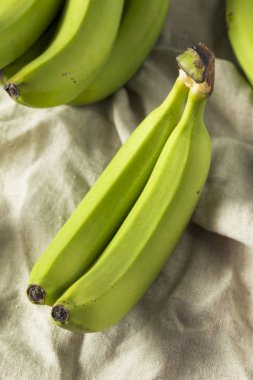 Organik çiğ yeşil olgunlaşmamış muz bir grup