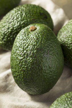 Ham organik yeşil olgunlaşmamış bir yığın avokado
